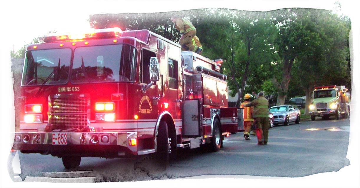 Index
                      Picture